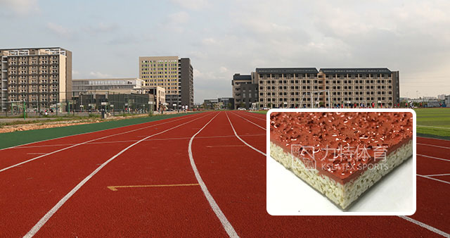复合型塑胶跑道系列 复合型塑胶跑道系列